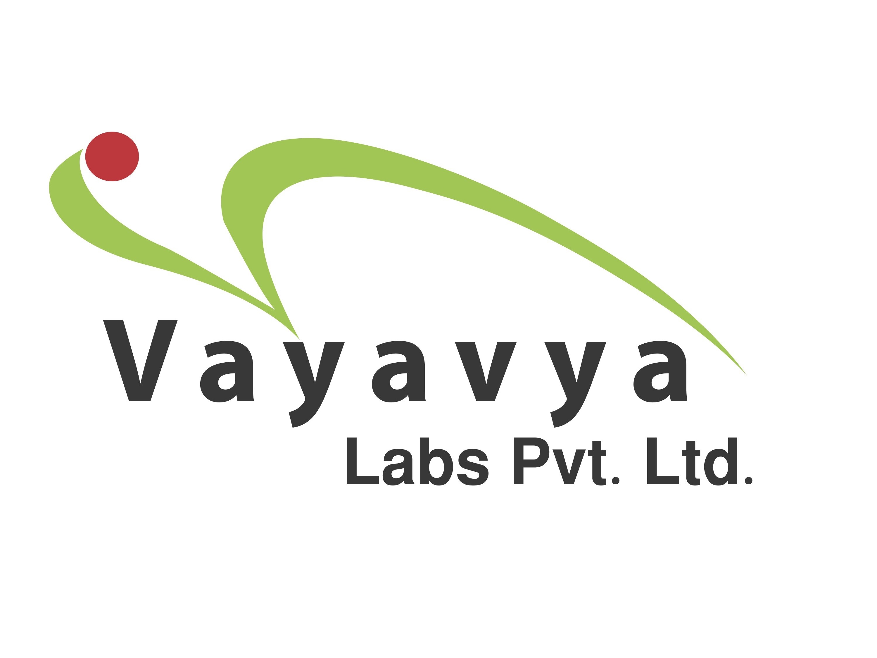Vayavya Labs Vayavya Labs